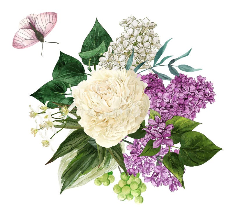 Lilla di colore acquatico fiori e foglie. illustrazione vettoriale