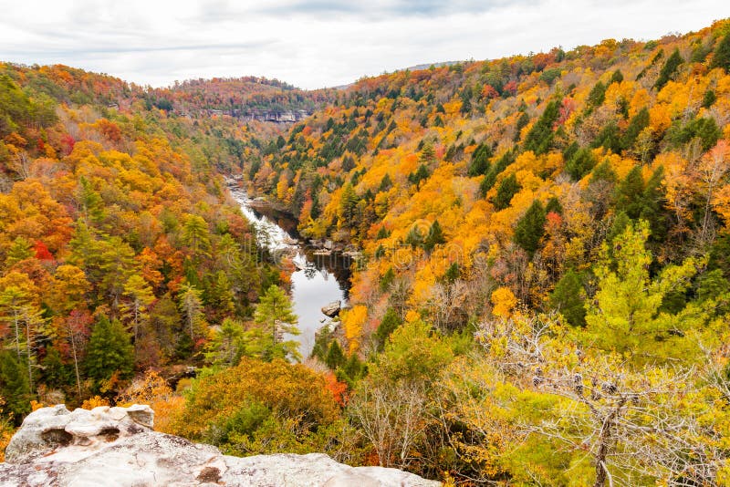 Lilly Bluff Overlook at Obed