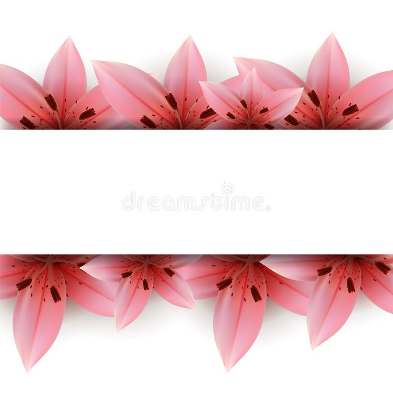 Lily Banner stock vector. Illustration of gold, bloom 38754010