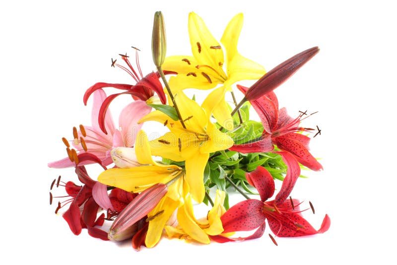 Lily bouquet