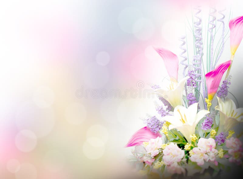 lily flowers background 23021668