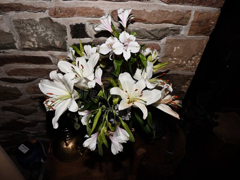 Lily Flowers stock image. Image of bouquet, plant, wall - 324572441