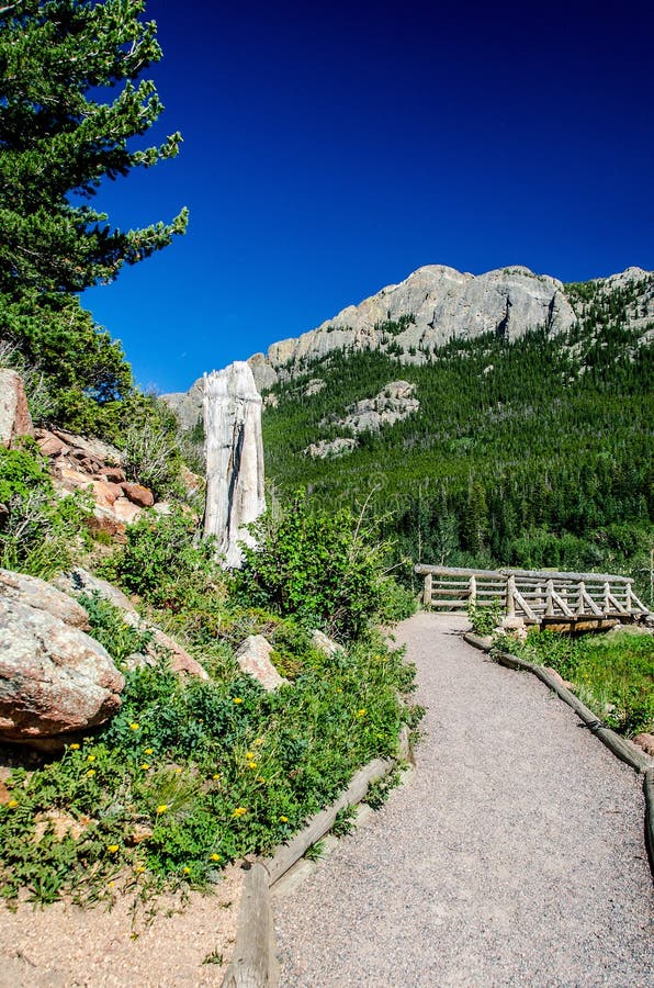 Lily Lake Rocky Mountain National Park Colorado Trail with blue