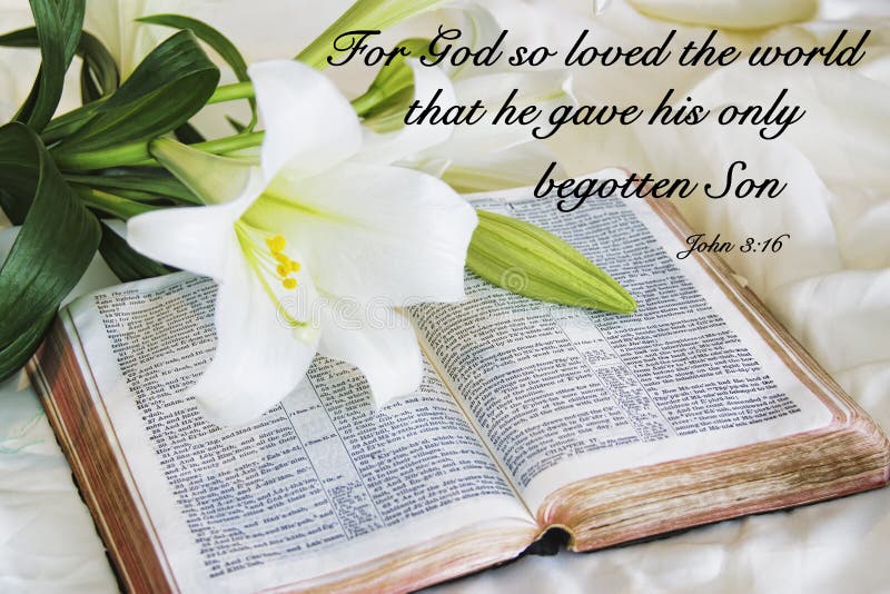 Lily laying on a antique bible on Easter morning. Christian Motivational quote saying `For God so loved the world that he gave his only begotten Son`. With White royalty free stock images