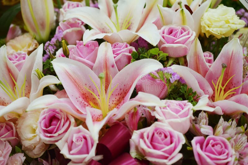 Lily and Pink Roses Flower Bouquet Background Stock Image Image of