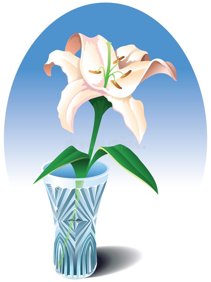 Pencil drawing Lily stock illustration. Illustration of leaf - 27868497