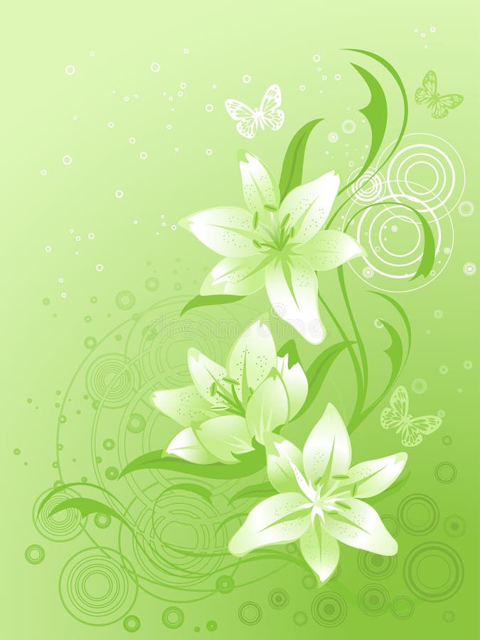 Lily Vector Stock Illustrations – 53,612 Lily Vector Stock ...