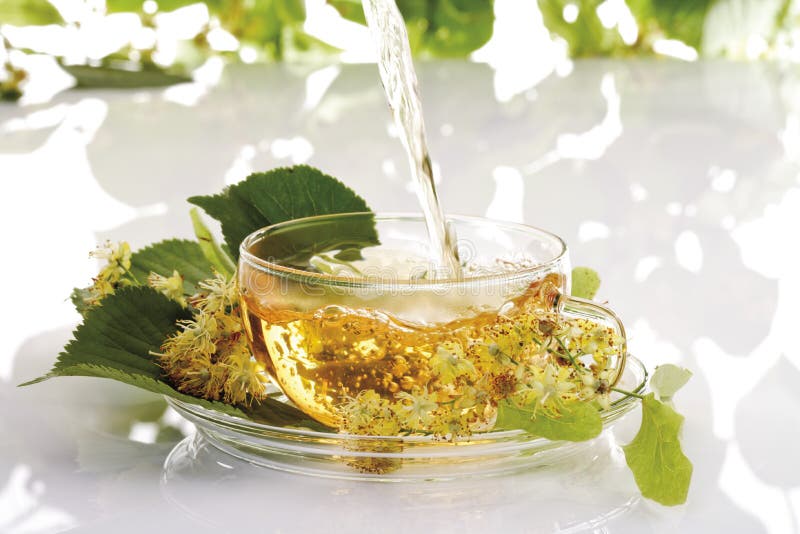 Lime blossom tea, closeup stock photo. Image of tilia 50500558