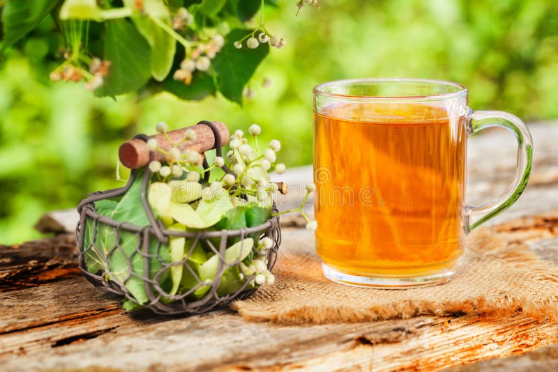 Lime blossom tea stock image. Image of lime, naturopathy 56573849