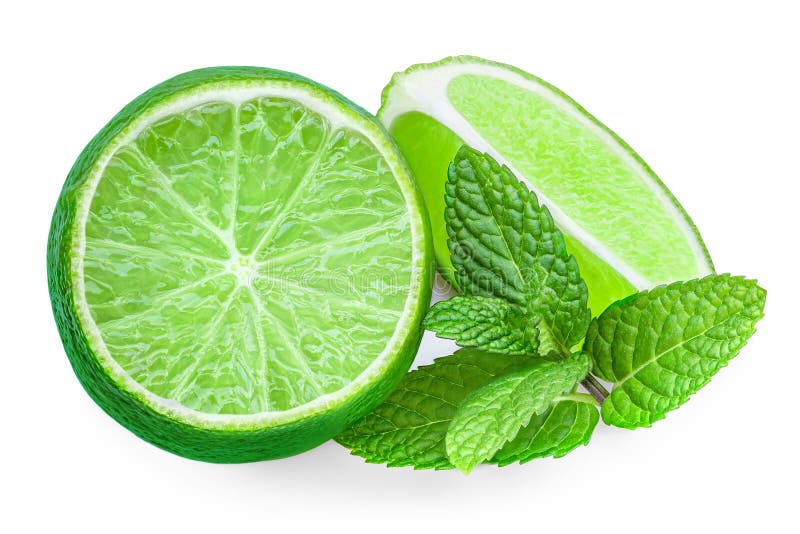 Lime Fruit and Mint Leaves Isolated on the White Background. Lime Slice