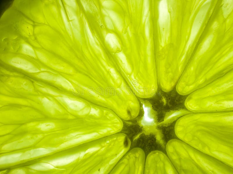 Lime green background stock photo. Image of lime, green - 26785492