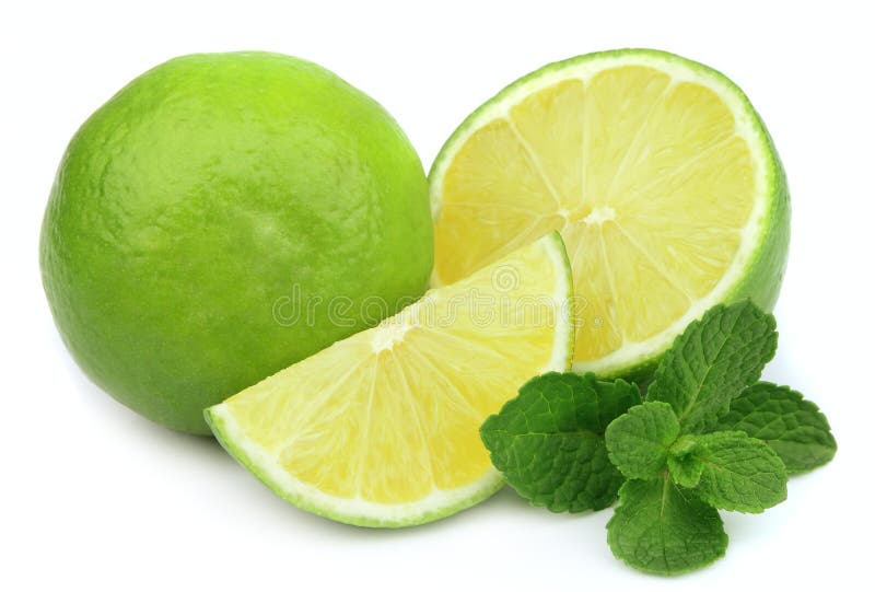 Lime with mint stock photo. Image of mint, eating, fruit 23701374