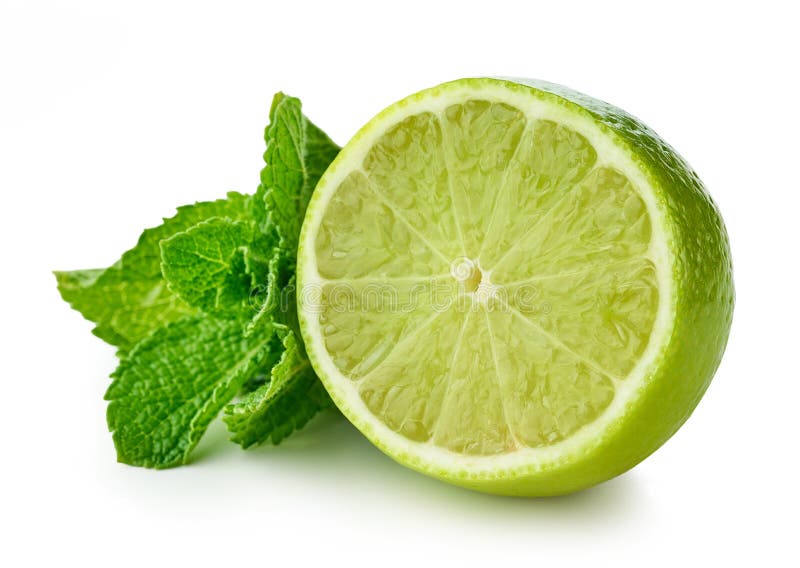 Lime and mint stock photo. Image of freshness, health 198143348