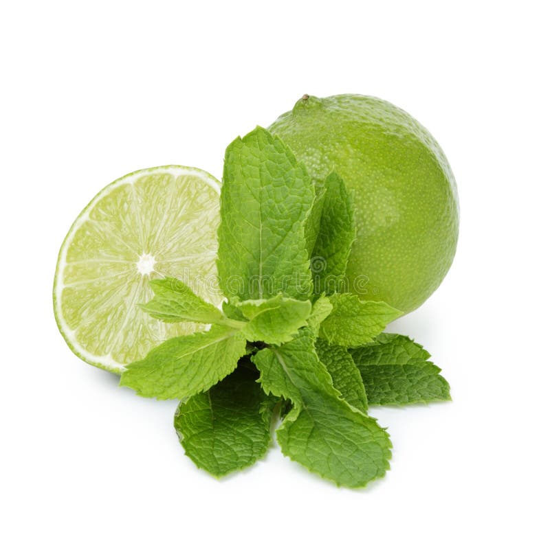 Lime with mint leaves stock image. Image of slice, healthy 33111173