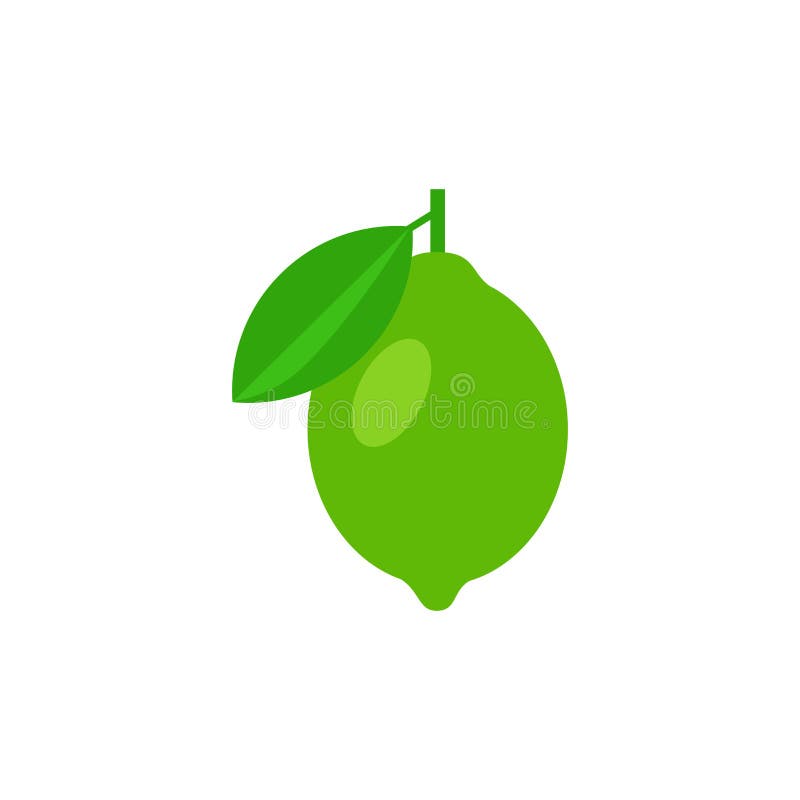 Lime Tree Bunch Vector Illustration Isolated on White Background Stock