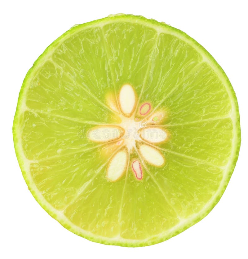 Lime slice stock image. Image of isolated, green, object 37042873