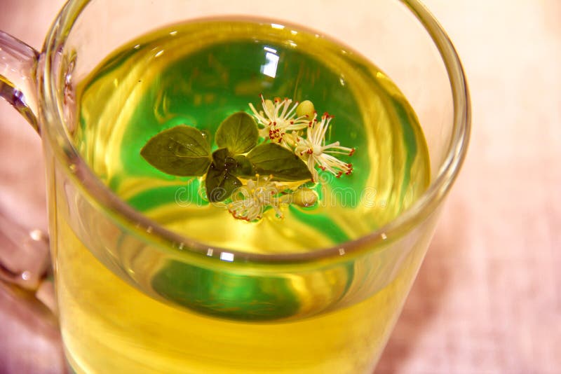 Lime Tea with Mint Leaves and Lime Flowers Stock Image Image of