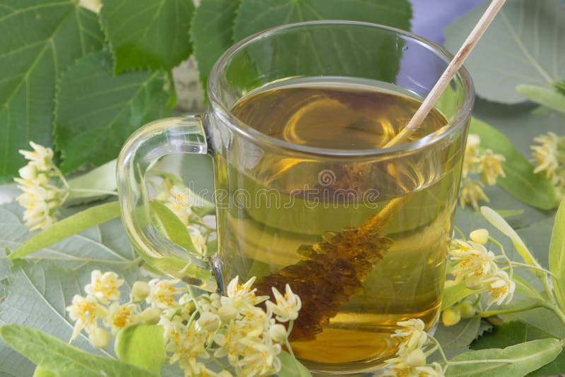 Lime Tea with Sugar Stick, Lemon and Lime Flowers Stock Photo Image