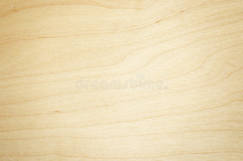 Lime wood stock photo. Image of texture, striped, linden 32240688