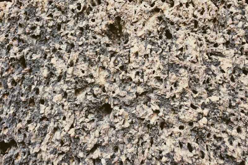 Porous Limestone Texture Background Stock Photo Image of earth