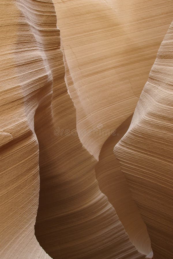 Limestone canyon in Sinai Peninsula