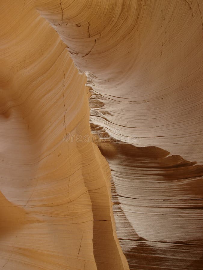 Limestone canyon in Sinai Peninsula