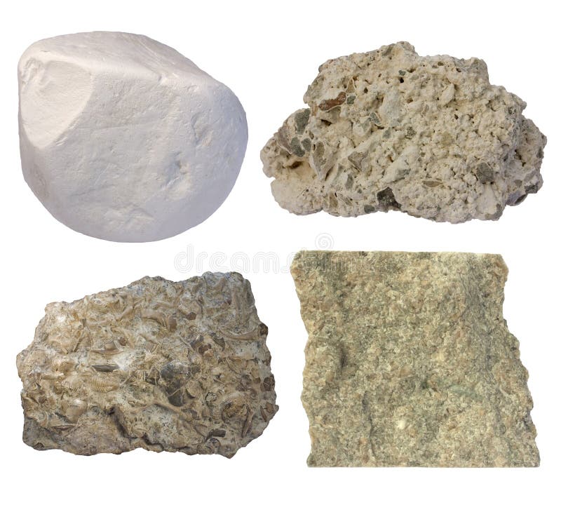 Limestone collage (chalk, tufa, fossiliferous limestone, grainstone)