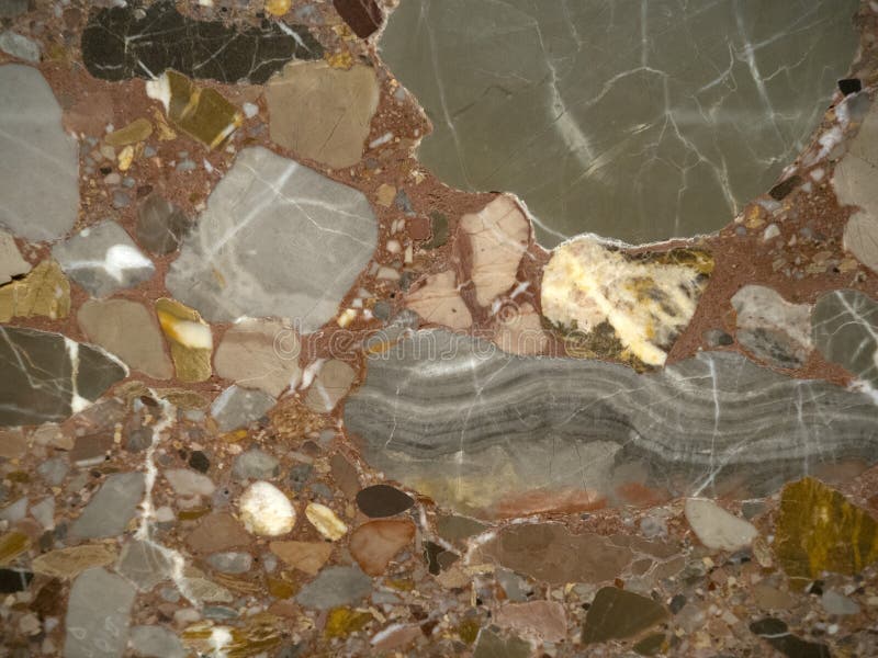 Limestone Conglomerate Cutted Stone Detail Stock Image Image of color