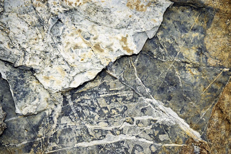 Limestone detail stone stock photo. Image of grunge, abstract 86047180