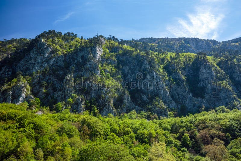 Limestone mountains stock image. Image of beauty, afforested 70774637