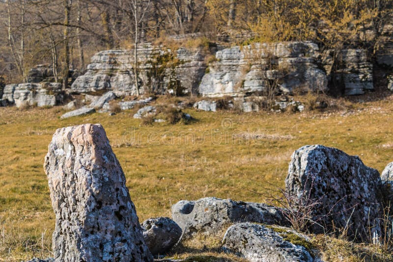 Limestone Outcrop in the Park Stock Photo Image of nature, formation