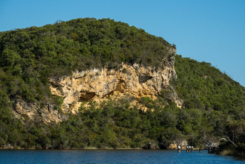 Limestone Rock and Trees Lining Donnelly RIver, Western Australia Stock