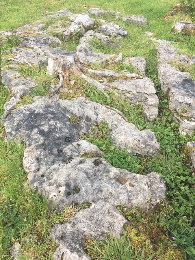 Limestone rocks stock image. Image of ireland, background 127047399