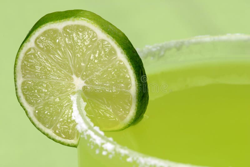 Limette succulente images stock Limette succulente images stock