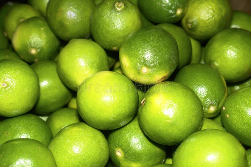 Limettes photo stock Limettes photo stock
