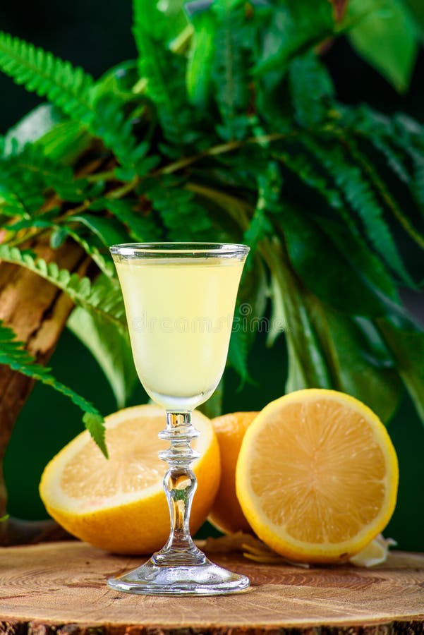 Limoncello op de de groene achtergrond en citroenen van de bladaard royalty-vrije stock afbeelding Limoncello op de de groene achtergrond en citroenen van de bladaard royalty-vrije stock afbeelding