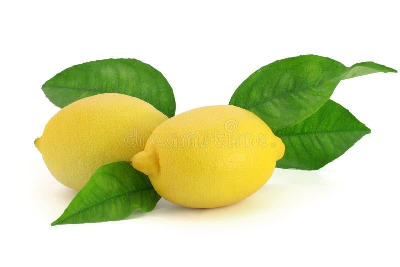 Limoni freschi con i fogli immagine stock. Immagine di squisito