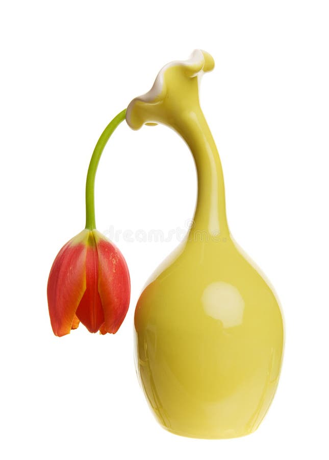 Moribondo un depresso cercando tulipano.