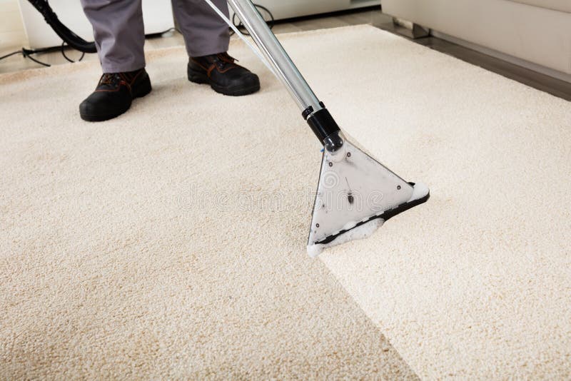 Limpiador de Person Cleaning Carpet With Vacuum