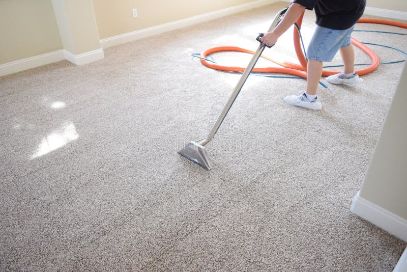 Limpieza profesional de la alfombra