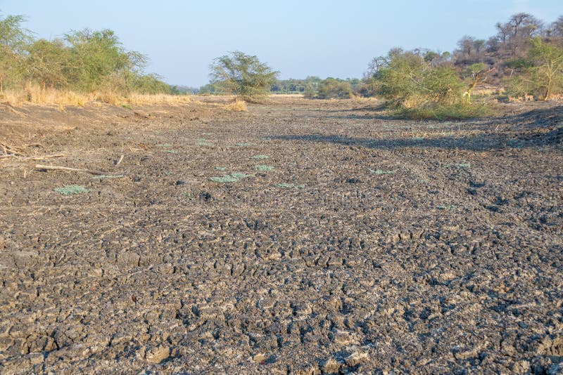 Limpopo river pre-rain dry flood plains in South Africa royalty free stock photo Limpopo river pre-rain dry flood plains in South Africa royalty free stock photo
