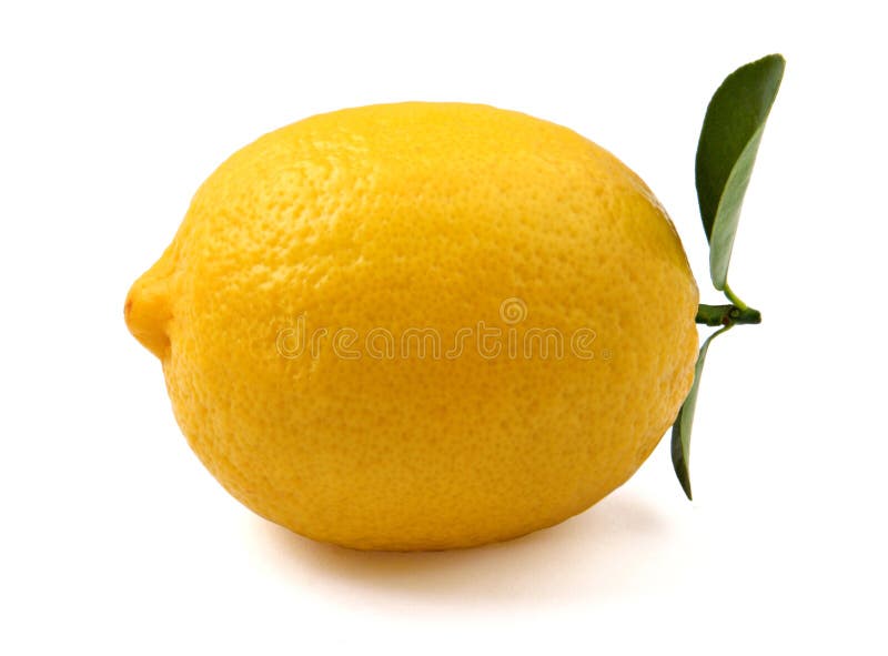 The lemon on white background. The lemon on white background