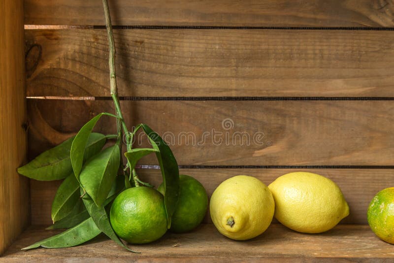 Limão doce e tangerina maduros com as folhas na placa de madeira fotografia de stock Limão doce e tangerina maduros com as folhas na placa de madeira fotografia de stock