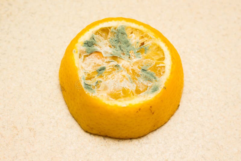 Limão mofado em um fundo claro Alimentos estragados que são perigosos para o consumption_ fotografia de stock Limão mofado em um fundo claro Alimentos estragados que são perigosos para o consumption_ fotografia de stock
