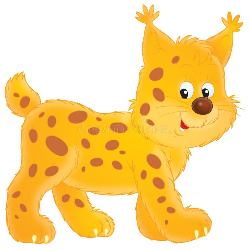 Lince stock de ilustración