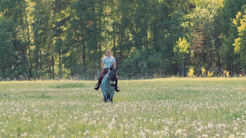 Mulher Cavaleira Cavalgando a Cavalo Marrom E Pulando a Cerca Na Arena De  Sandy Parkour Aperfeiçoamento Profissional Competitivo Imagem de Stock -  Imagem de fêmea, marrom: 165294797