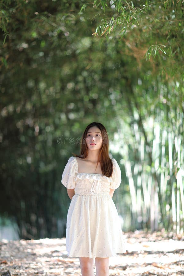 Linda jovem com vestido branco no fundo da floresta de bambu fotos de stock