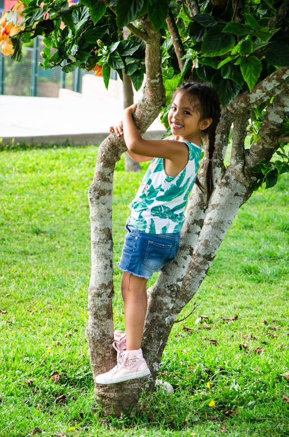 La Pequeña Niña Linda Es 2 Años Que Se Sientan Cerca Del Árbol De