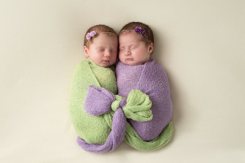 Fraternal twin newborn baby girls swaddled together in light green and lavender stretch wrap material. Fraternal twin newborn baby girls swaddled together in light green and lavender stretch wrap material