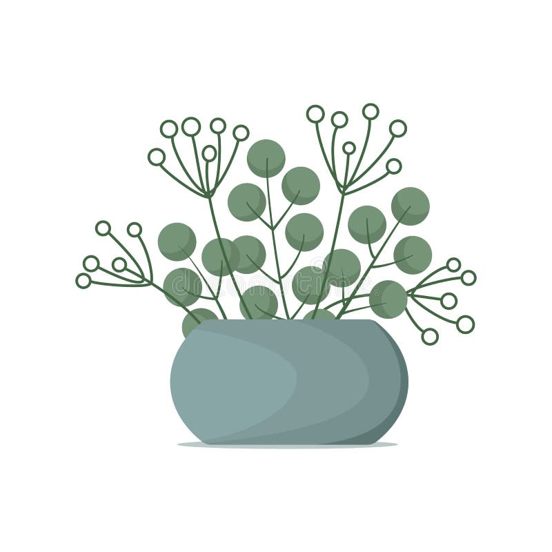 Folha verde, cacto, plantas, desenho animado, vaso de flores, árvore png